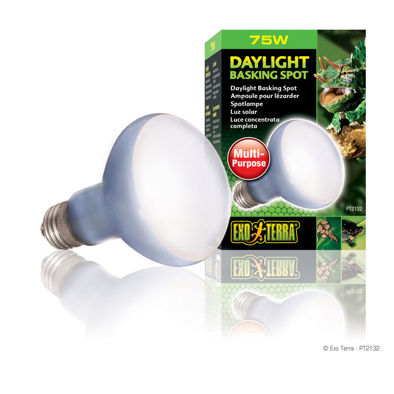 Exo Terra Daylight Basking Spot Lamp - R20 / 75 W - Broad-Spectrum Daylight Sot Lamp