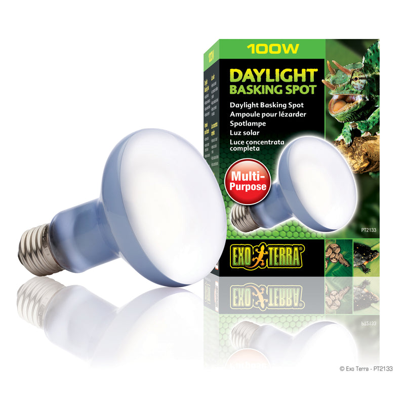 Exo Terra Daylight Basking Spot Lamp - R25 / 100 W - Broad-Spectrum Daylight Sot Lamp