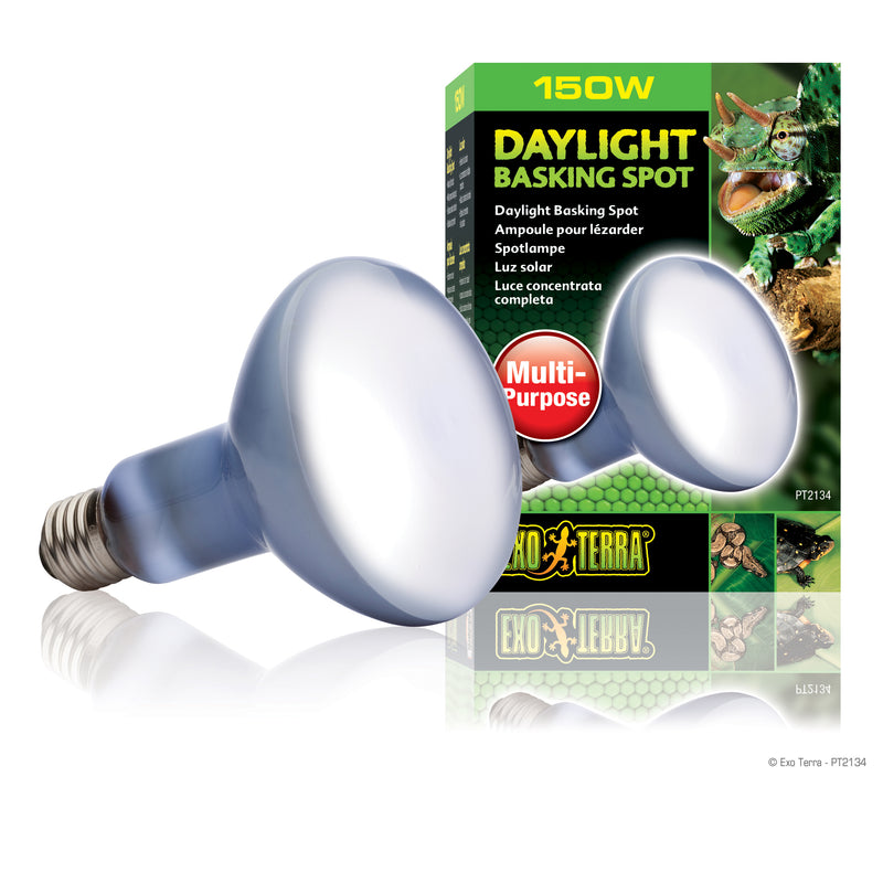 Exo Terra Daylight Basking Spot Lamp - R30 / 150 W - Broad-Spectrum Daylight Sot Lamp