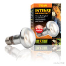 Exo Terra Intense Basking Spot - S20 / 75W - Creates A Basking Area
