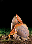 Exo Terra Rock Outcrops - Hiding Cave - Large - 31.5 x 19.5 x 26cm