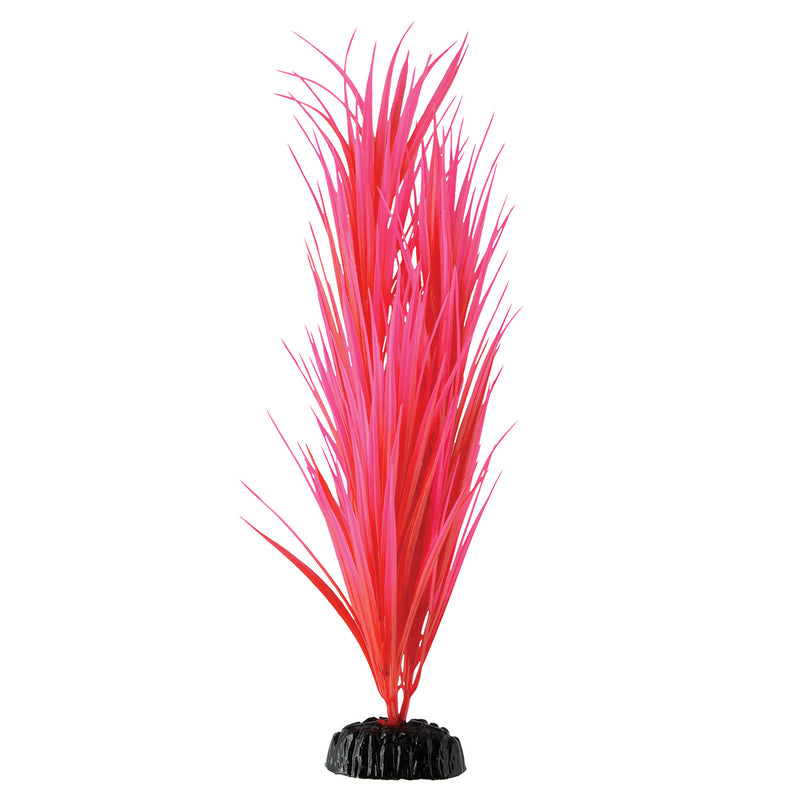 Rose Nile Grass - 14.25"