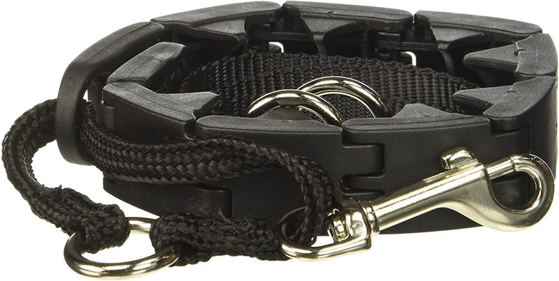 Starmark pro training outlet collar quick release