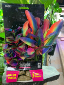 SeaGarden Fantasy GLO Series Aquarium Decor VALUE PACK 3 Silk Plants