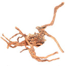 Spider Root Wood - Medium - For Aquariums or Terrariums