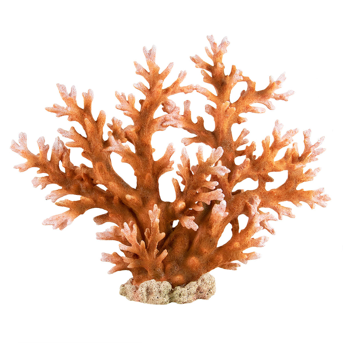 Saltwater aquarium ornaments cheap
