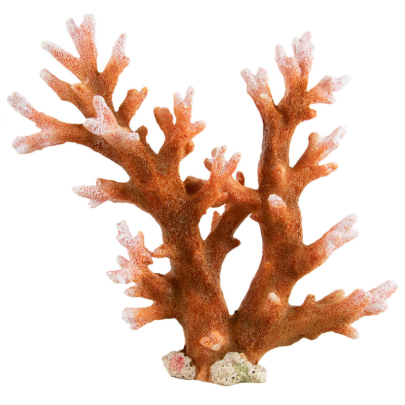 Staghorn - Medium - Aquarium Ornament - Saltwater Decoration