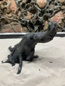 StarPet Shinryuboku Aquascape Stump M Type II Reptile / Fish - S-823