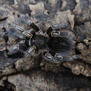 TARANTULA  “STRIPED KNEE”  (Aphonopelma seemanni)
