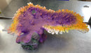 Table Shelf Coral Orange/Purple - Large Aquarium Ornament
