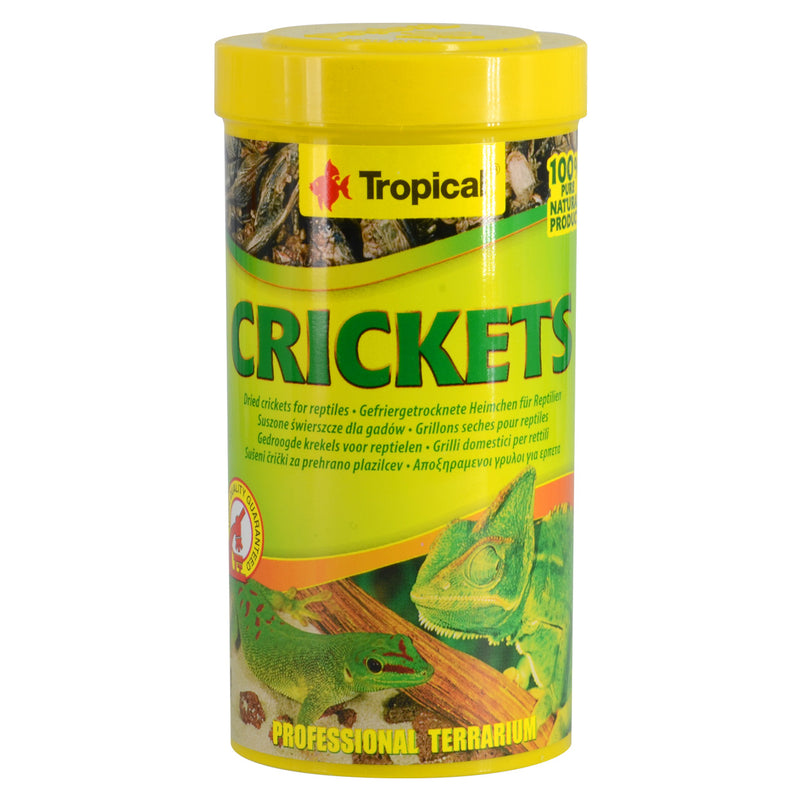 Tropical Freeze-Dried Crickets - 25 g - For Reptiles & Birds