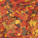 Tropical SuperVit Flakes 20g - Premium Flake Food for All Ornamental Fish