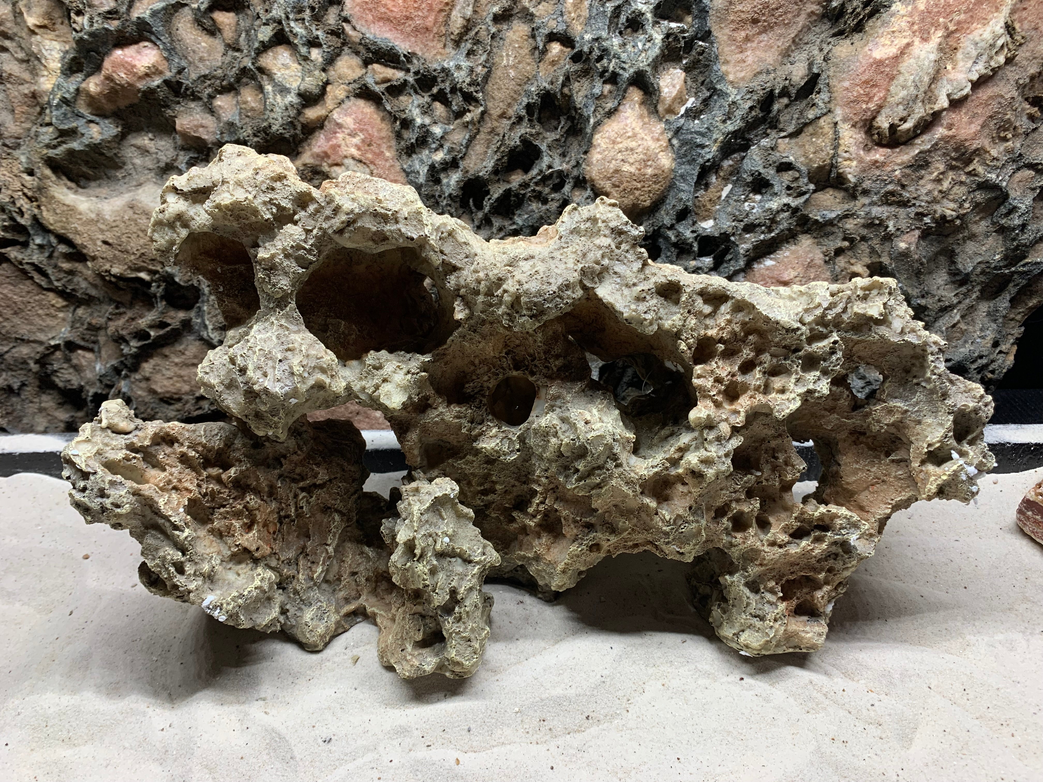 Pitted Rocks Pitted Rock Wall - Medium