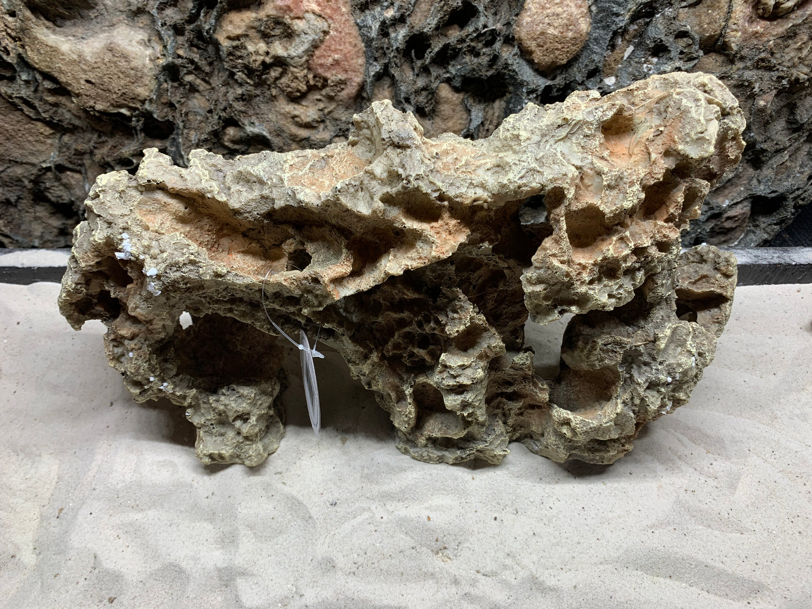 Pitted Rocks Pitted Rock Wall - Medium