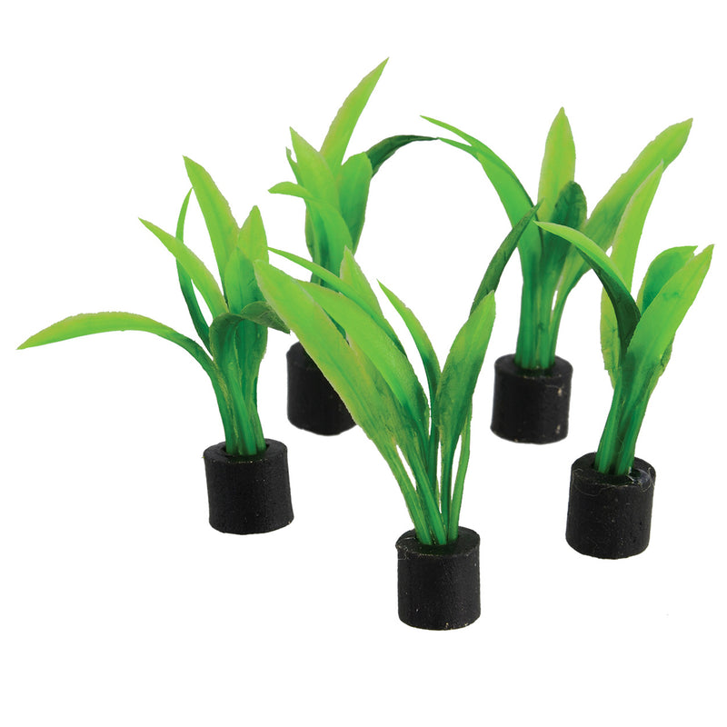 Mini Plant Sword - Large - 2.75" - 5 pk