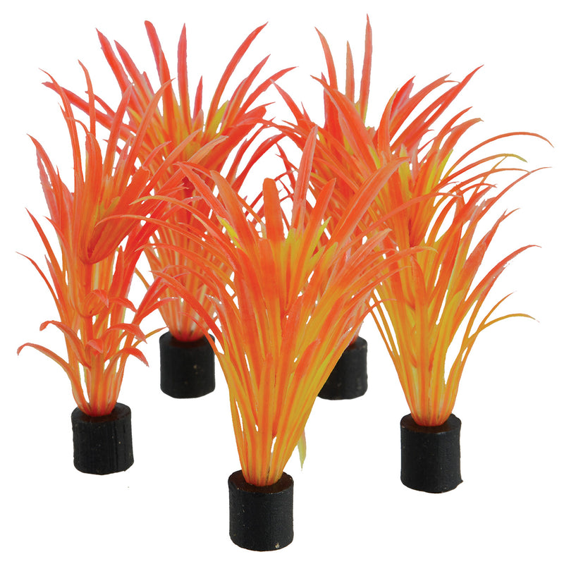 Mini Plant - Sea Grass - 3.25" - 5 pk