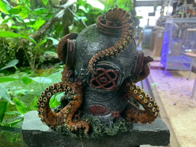 Helmet Octopus Aquarium Ornament