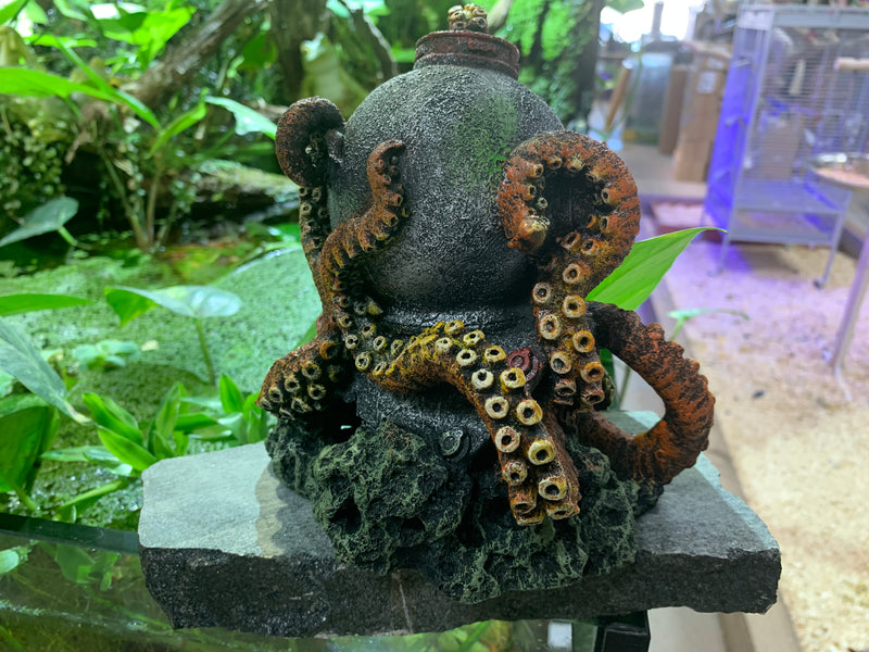 Helmet Octopus Aquarium Ornament