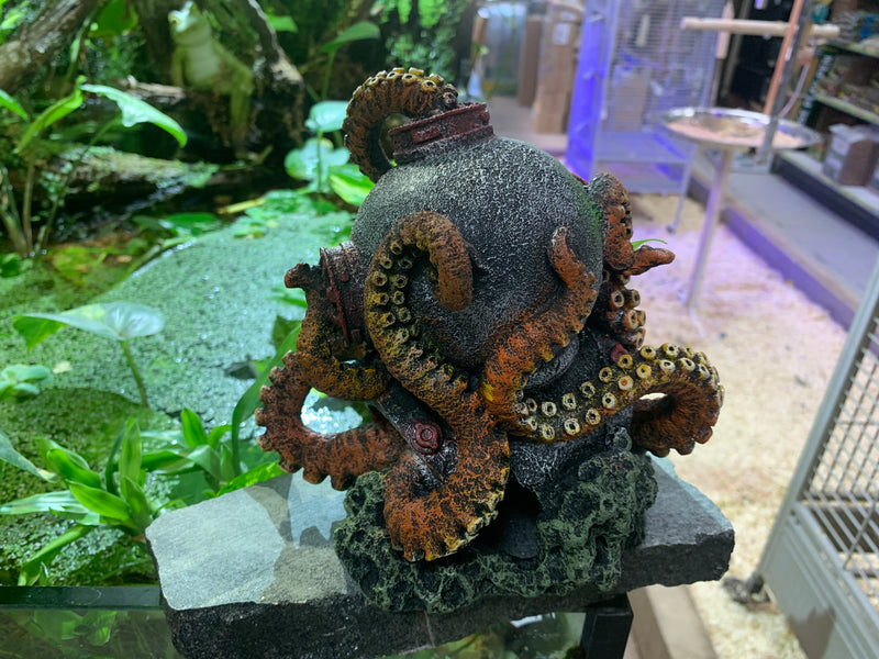 Helmet Octopus Aquarium Ornament