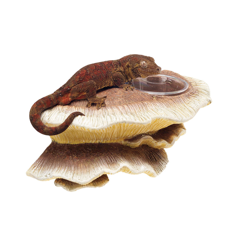 ZILLA Vertical Décor - Mushroom Feeding Ledge