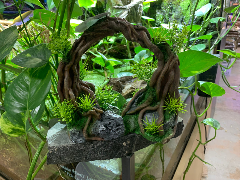 Vine Hollow -  Aquarium / Reptile ornament Large