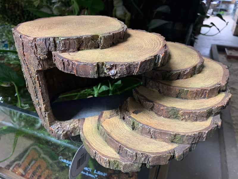 Wood Slice Hide - Cave