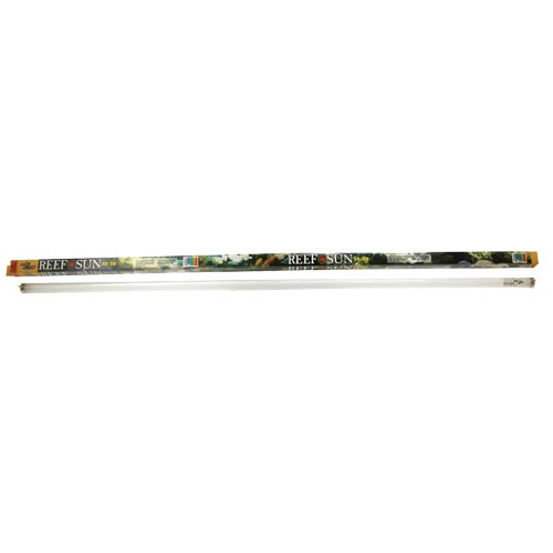 ZOO MED 50/50 Reef Sun T8 Fluorescent Lamp - 32 W - 48"