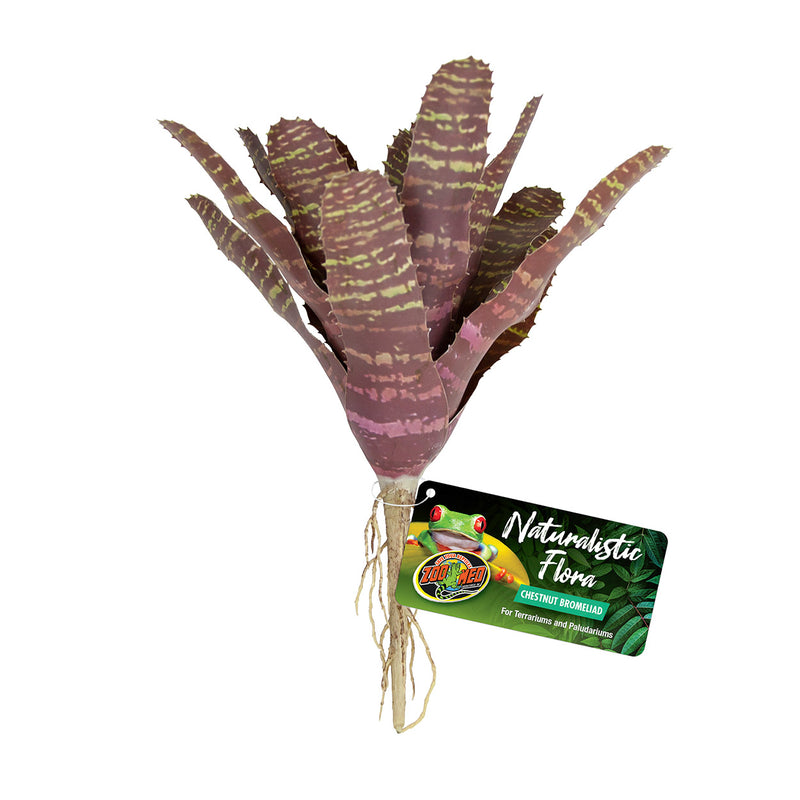 ZOO MED Naturalistic Flora - Chestnut Bromeliad - BU-61