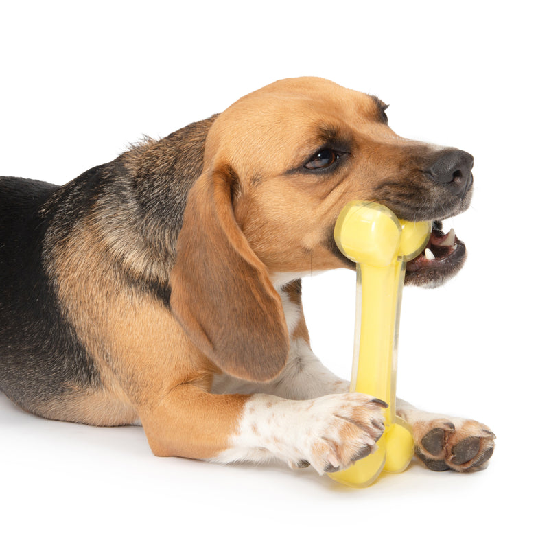 Zeus Duo Bone - Coconut Scent - Yellow - 18 cm (7 in)