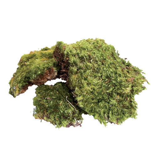 Zoo Med Frog Moss (Pillow Moss) - 80cu.in. - All Natural Living