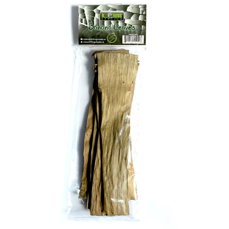 ATR Banana Mix Size Leaves 10-pack