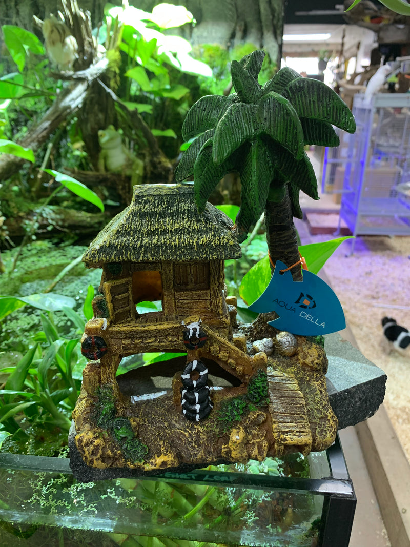 Aqua Della - Tropical Island - with Hut