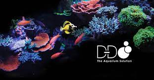 DD Aquascape Construction Epoxy 4oz - Coralline Colour