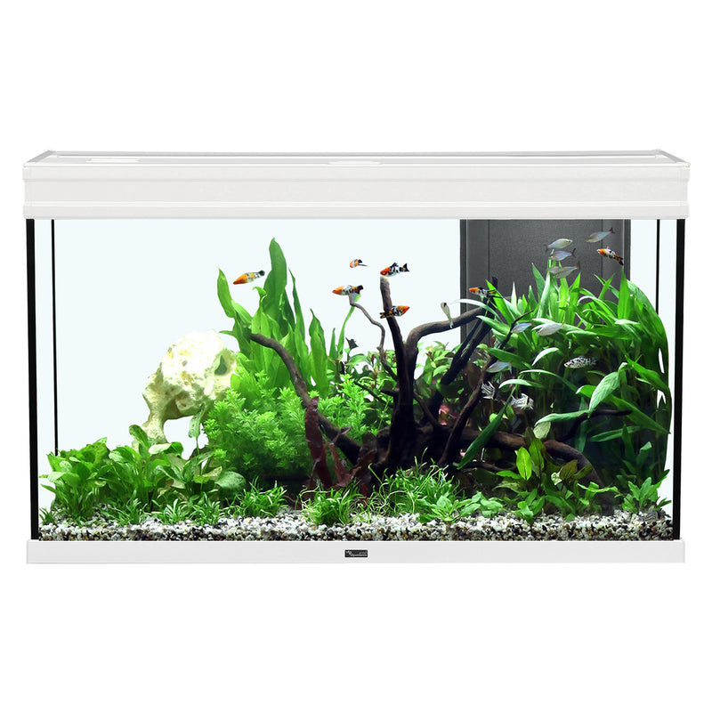 Aquatlantis Elegance Expert 100 Aquarium - White - 51.5 gal