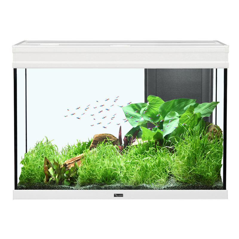 Aquatlantis Elegance Expert 80 Aquarium - White - 36.5 gal