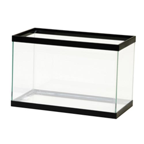 Standard Aquarium - Black Frame - 5.5 gal - Clear Silicone