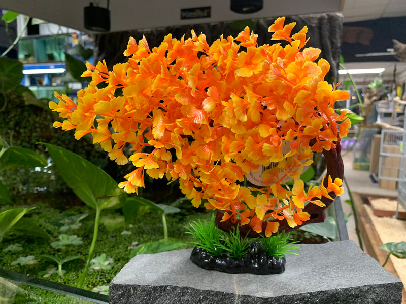 Bacopa Bonsai - Orange - Plastic Plant