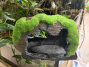 Mossy Barrel - Large