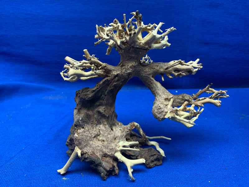 Bonsai Wood - XX-Small  Left or Right 8.25" x 3.5" x 5.25"