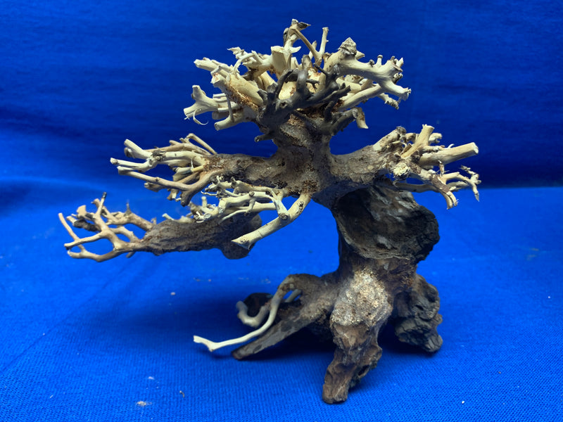 Bonsai Wood - XX-Small  Left or Right 8.25" x 3.5" x 5.25"