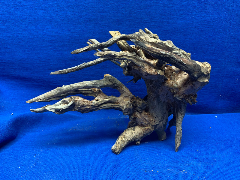 Kirin Bonsai Wood Left Design  9" x 5" x 7"