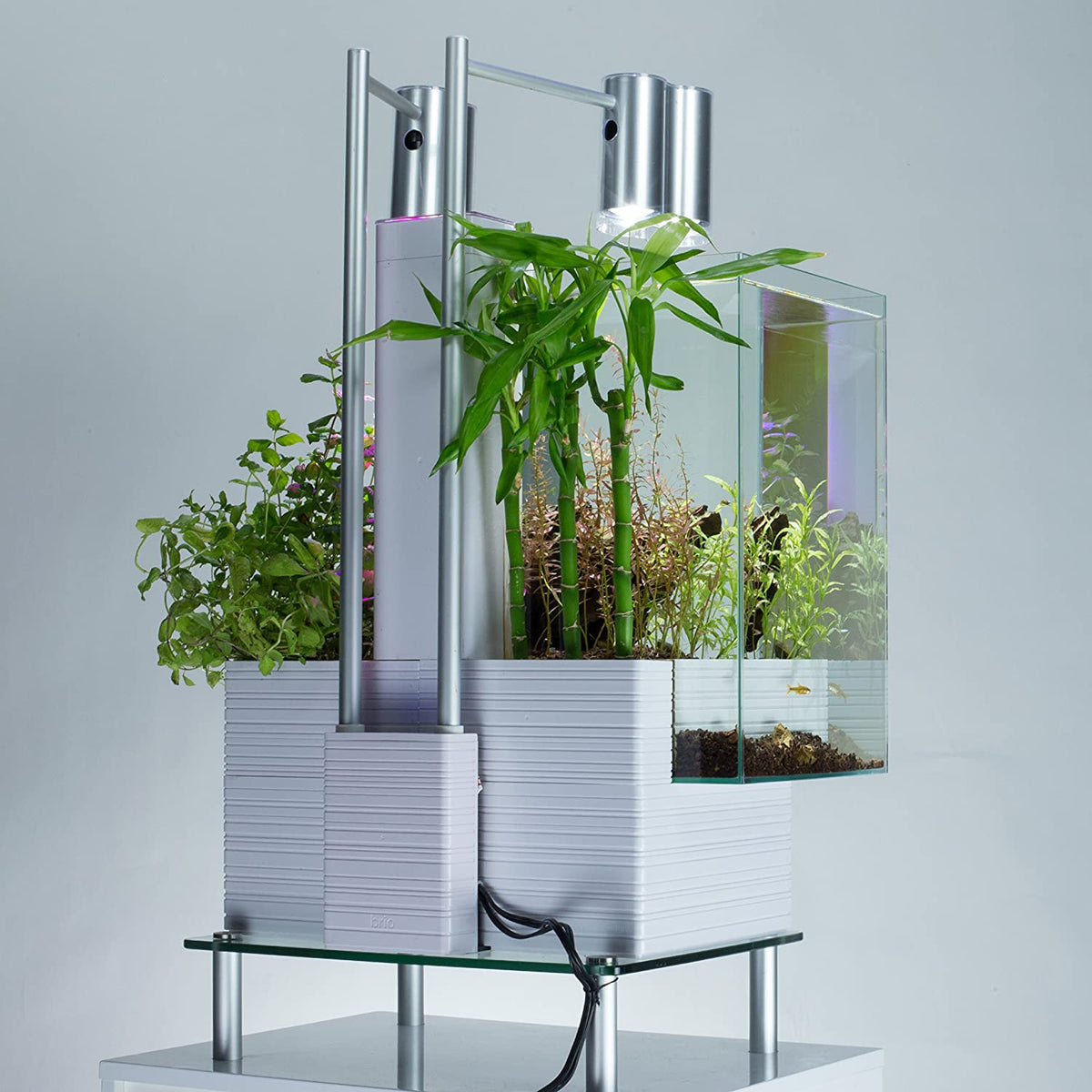brio fish tank accessories Brio 35 Aquaponics Aquaponics System, White