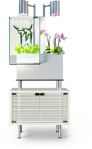 Brio 35 Aquaponics  Aquaponics System, White - 43368