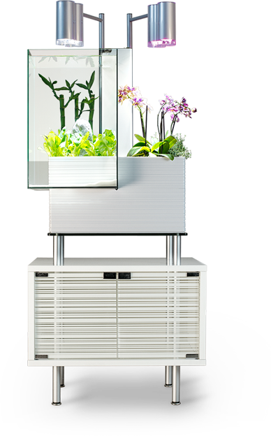 Brio 35 Aquaponics Aquaponics System, White