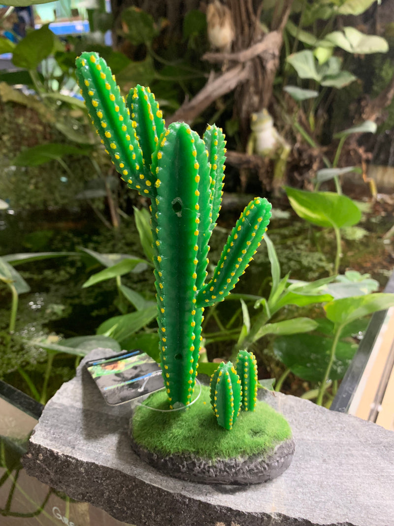 Reptile Prickly Cactus Decoration