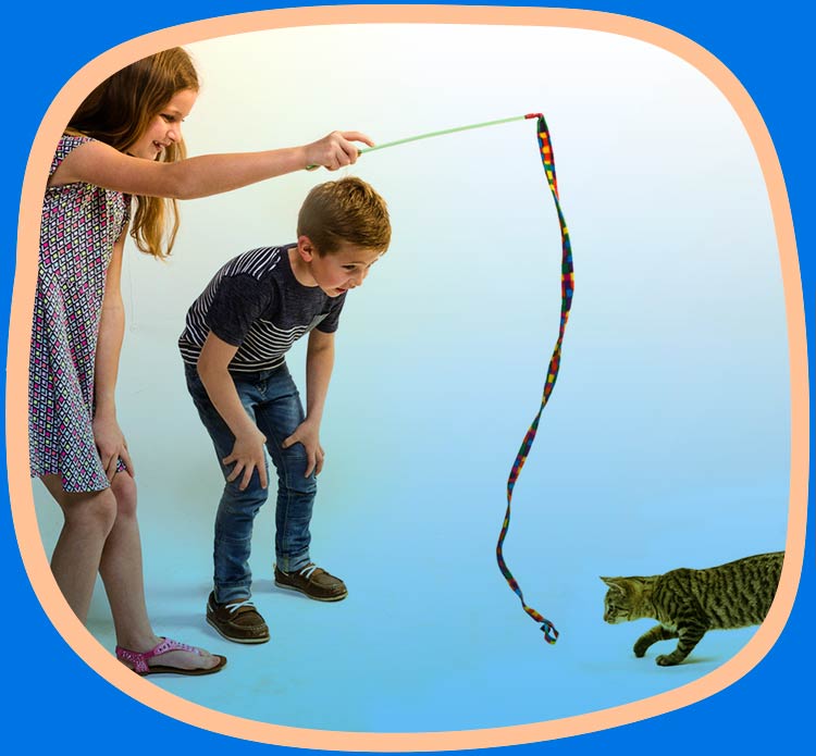 CAT DANCER CAT CHARMER RAINBOW INTERACTIVE CAT TOY