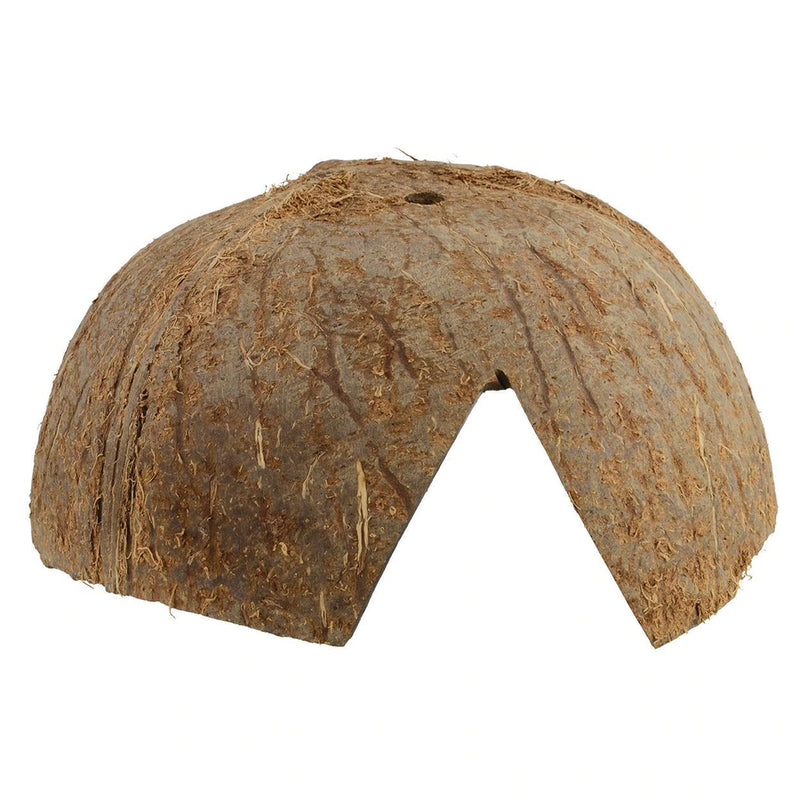 Jurassic Reptile Products Coconut Hut Hide