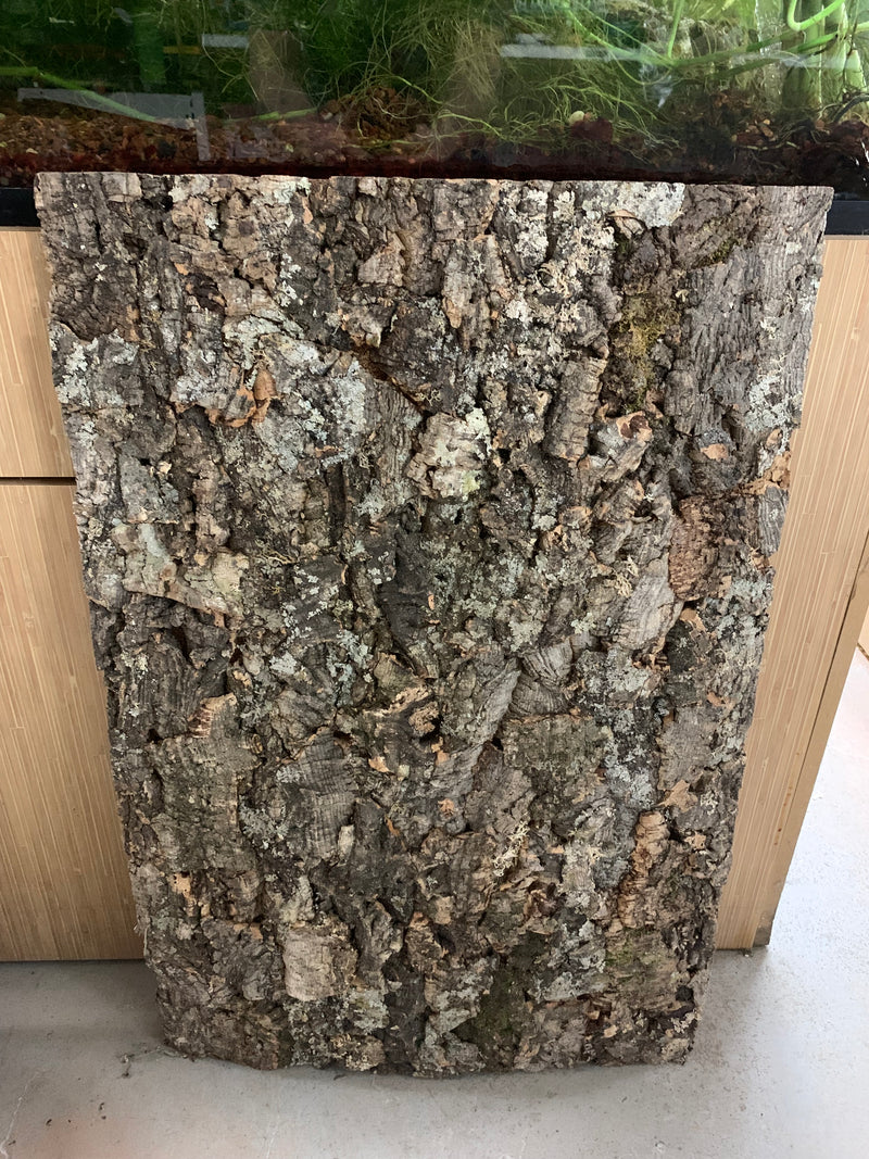 Natural Cork Background 36" x 24"