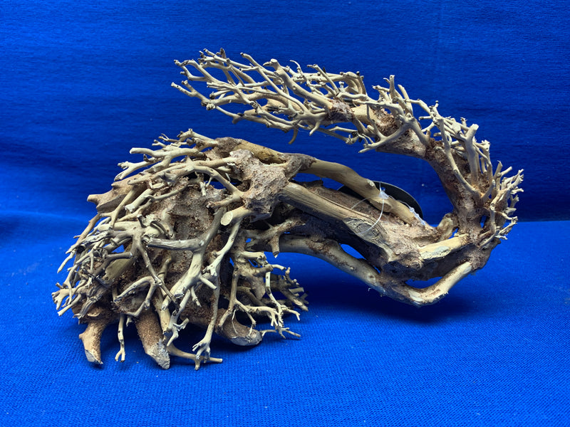 Dragon Bonsai Wood Left - Small  10" x 3" x 6"