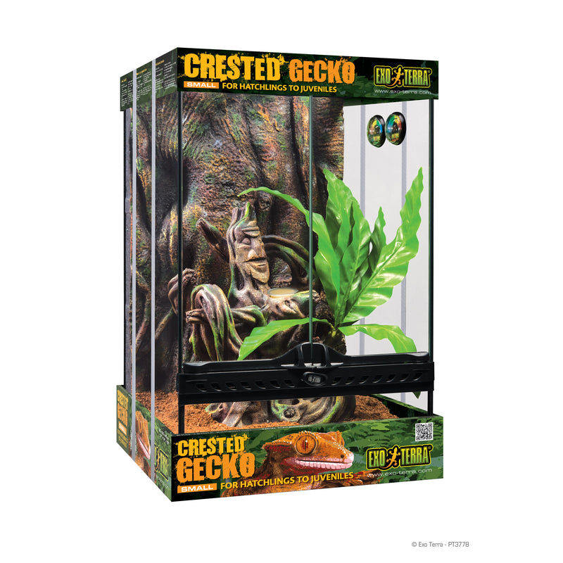 Exo Terra Crested Gecko Habitat Starter Kit - Small - 30 x 30 x 45